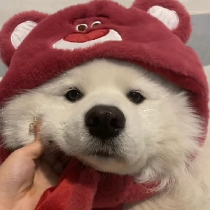 匿名用户
